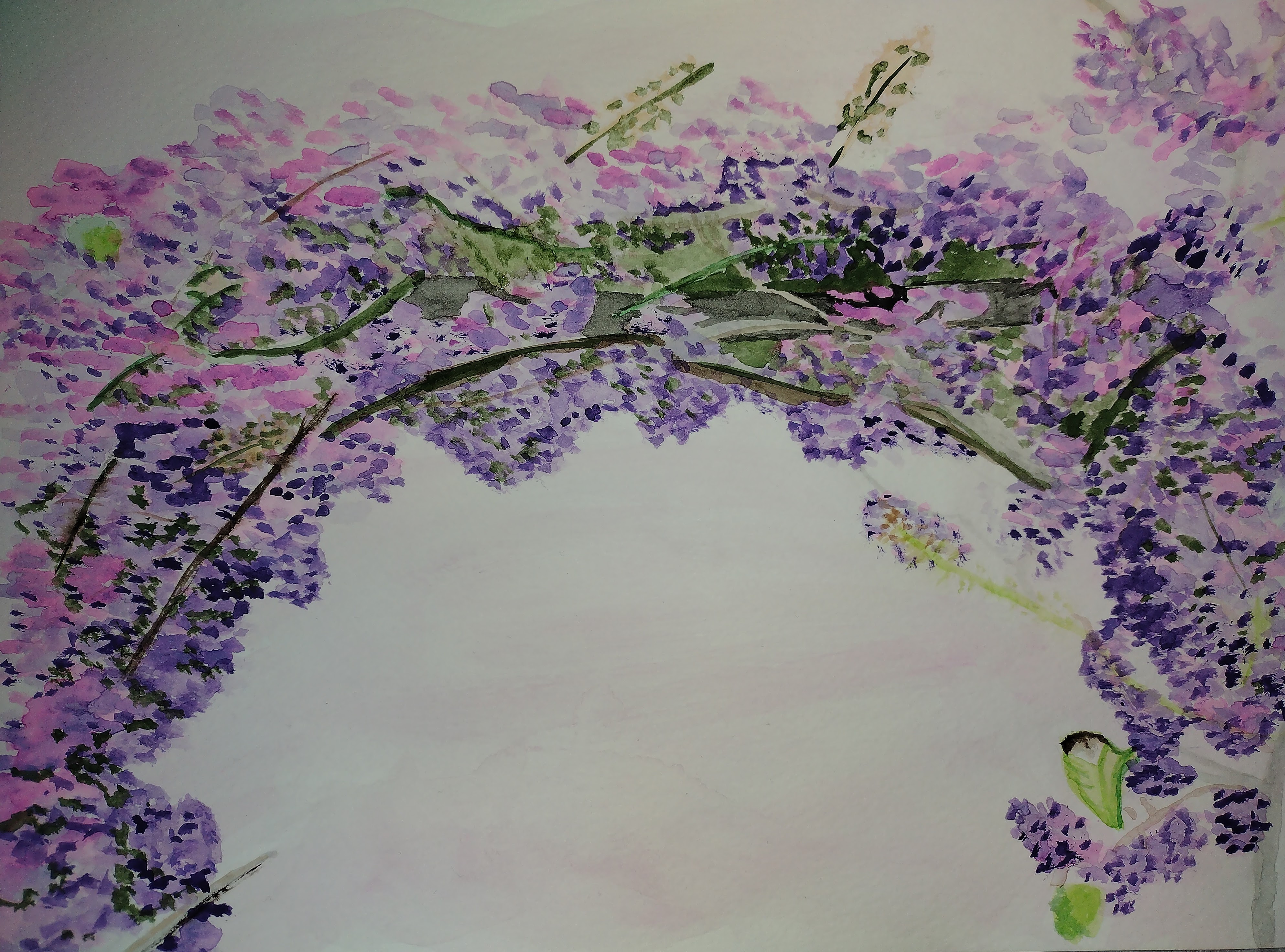 Watercolor painting of a purple wisteria vine.